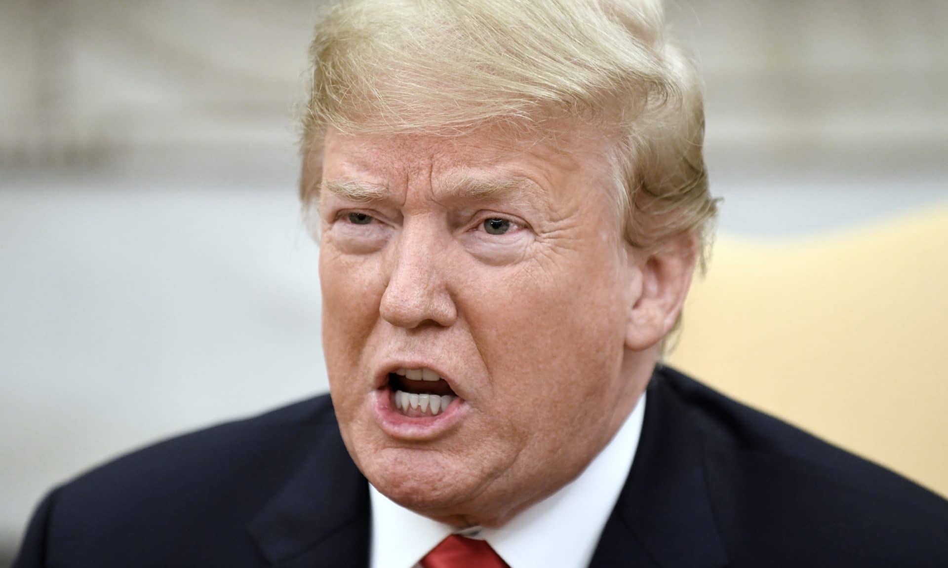 Donald Trump and David Lynch