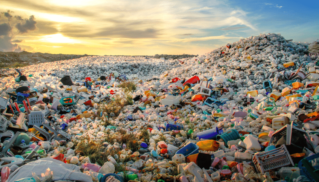 How a trip to rubbish island changed by life