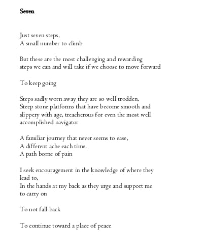Reflections and Refractions - Seven By F. Khorsandjamal